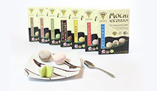 The Mochi Ice Cream Company