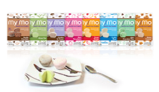 The Mochi Ice Cream Company