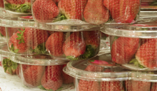 Packaging Plus, LLC